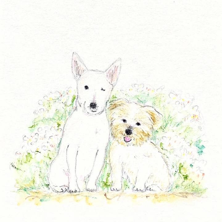 1e55a12b ecdc 4142 9735 f6bb4fd49f29 1657512135175