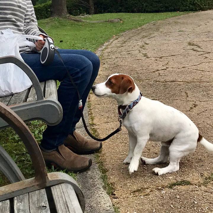 1e55bc01 62e2 4923 aee0 7ef579b0210e 1538811067731