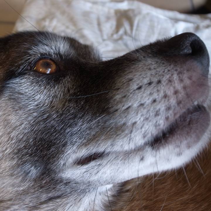 1e55e2d1 b762 45d7 bccf b29f97fbb306 1592993622558