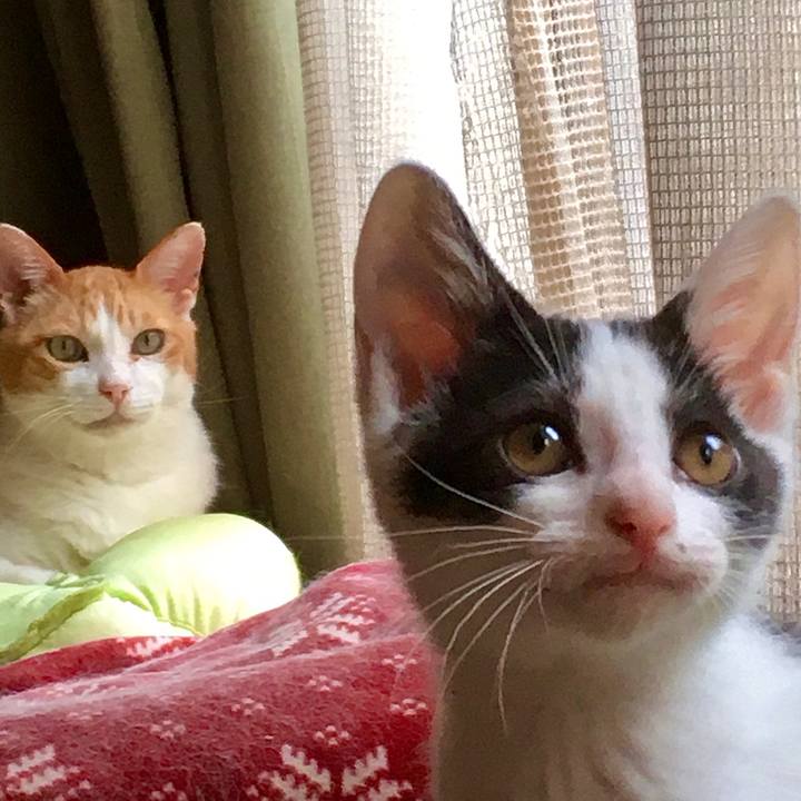 1e55ed4c 1482 4a20 97ca 8096d1011d44 1627879826939