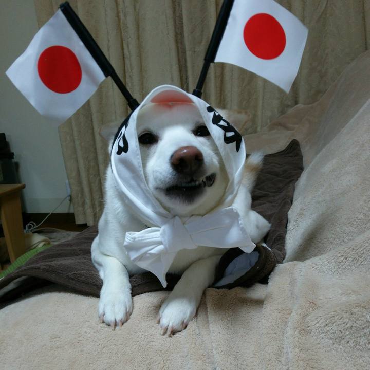 1e56113f 7608 4db0 a8c4 028b2077545c 1549024155558