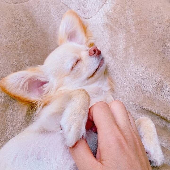 1e563111 ab65 4a6e 8dee 79a99bbf753a 1620166841378