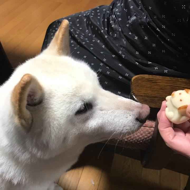 1e564196 1de8 460e b2d9 9eb56dbad142 1546341863223