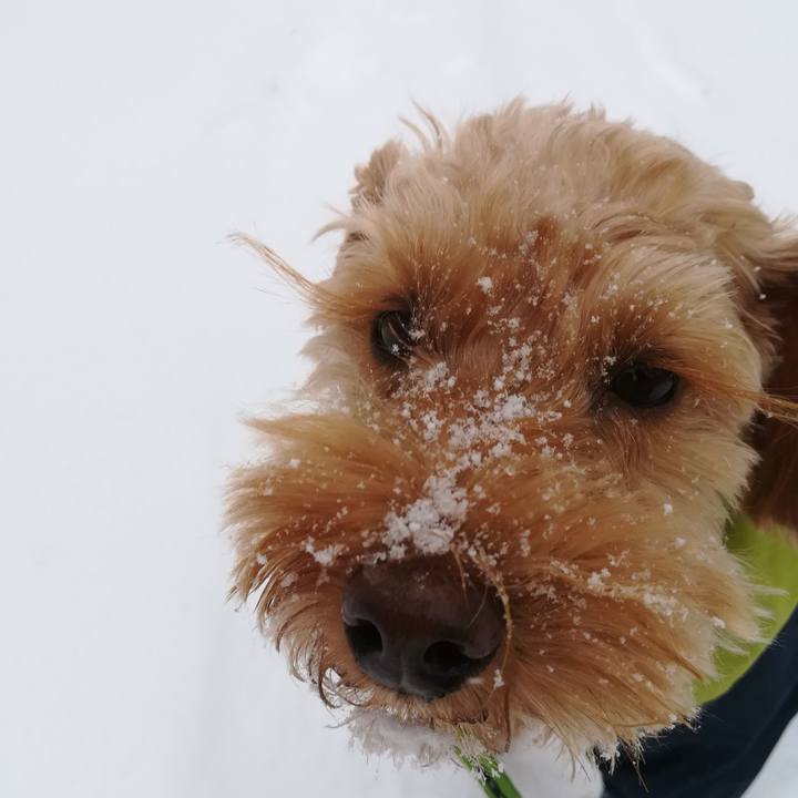 1e5645f6 5954 46e9 b47c 691a2de35030 1573950942870