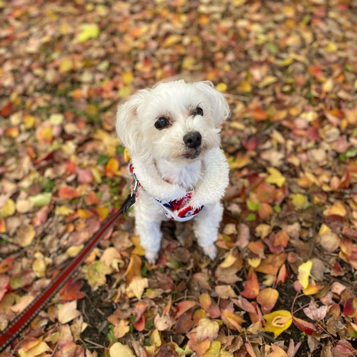 1e56926d d5ee 425c 8cad 3c5b591676b7 1732953499869