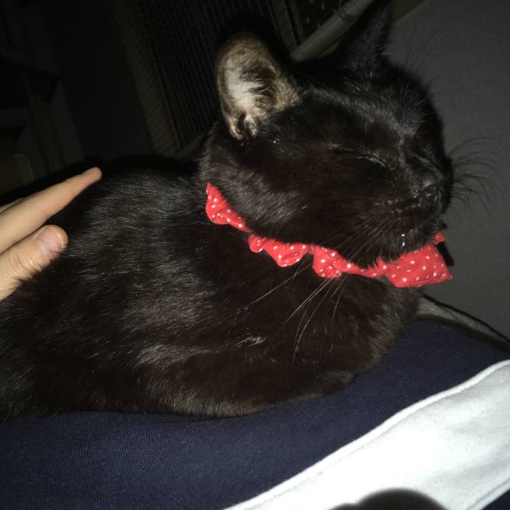 1e56b9b9 3b1d 4848 a4ee 664e0c1eb0f7 1553025725809