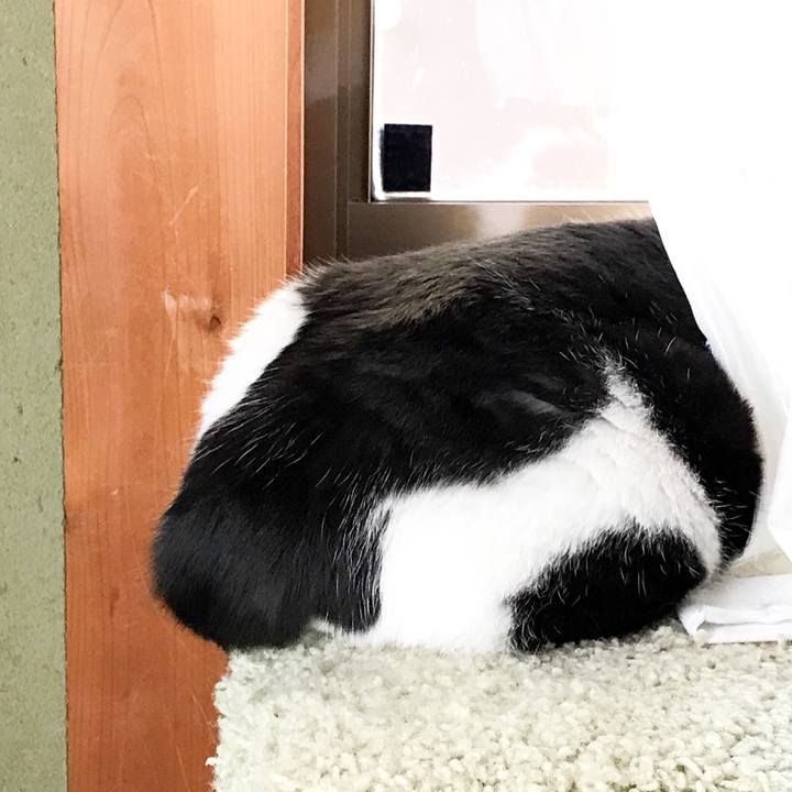 1e577921 50cd 4f3a b4dd 2d1be6fa5029 1525098855766