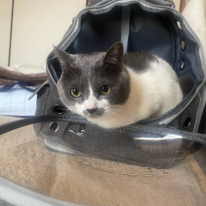 1e57ab12 89f3 4849 8c8b 42bd58c4e23e 1712180412807