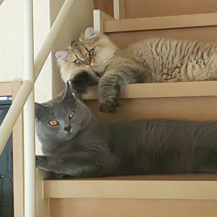 1e57abac c6d8 4940 9ed5 1b1537c0f315 1569978406132