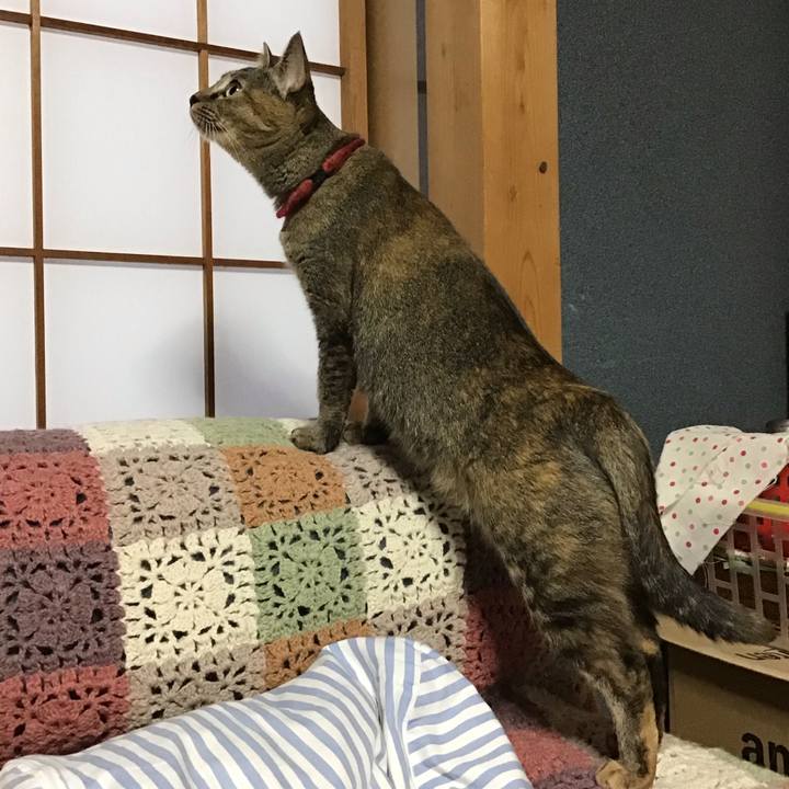 1e57d75e 13eb 4625 b5e7 4a87d0115d22 1602195868492