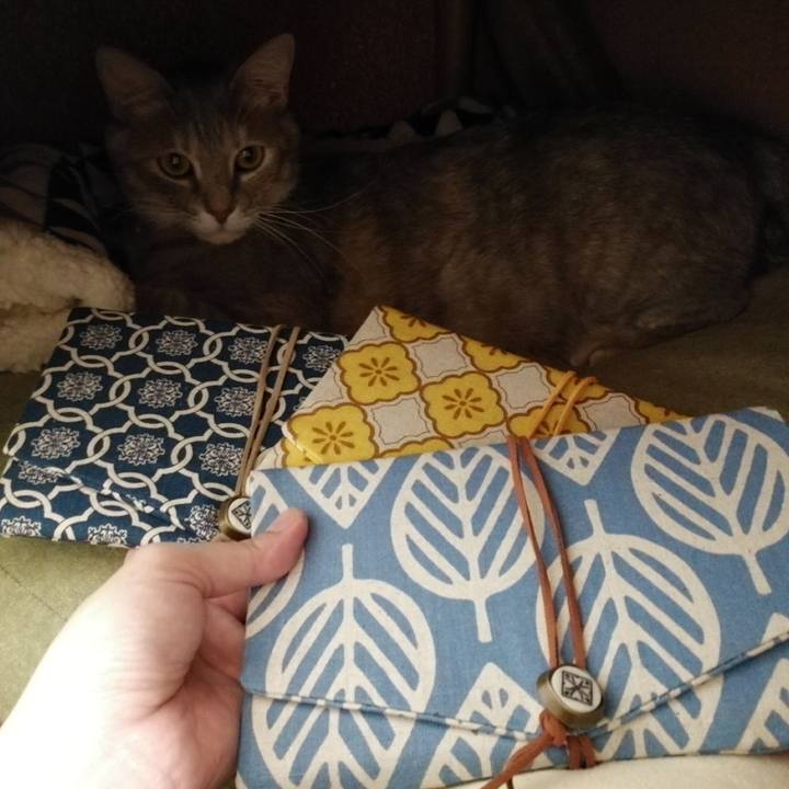 1e57e531 ab95 4550 8640 ae5ceff5ff5e 1550735440788