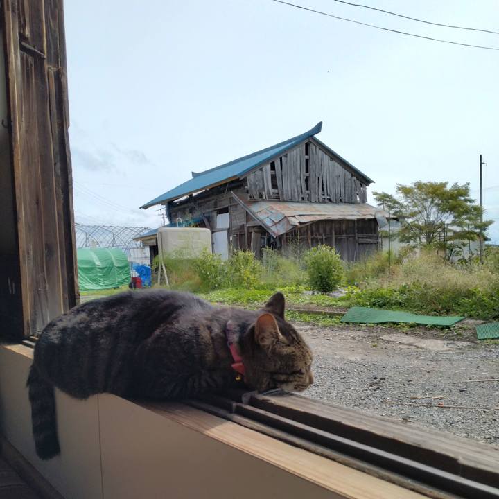 1e57ed50 fc40 4563 b572 632b234f70b1 1665281297299