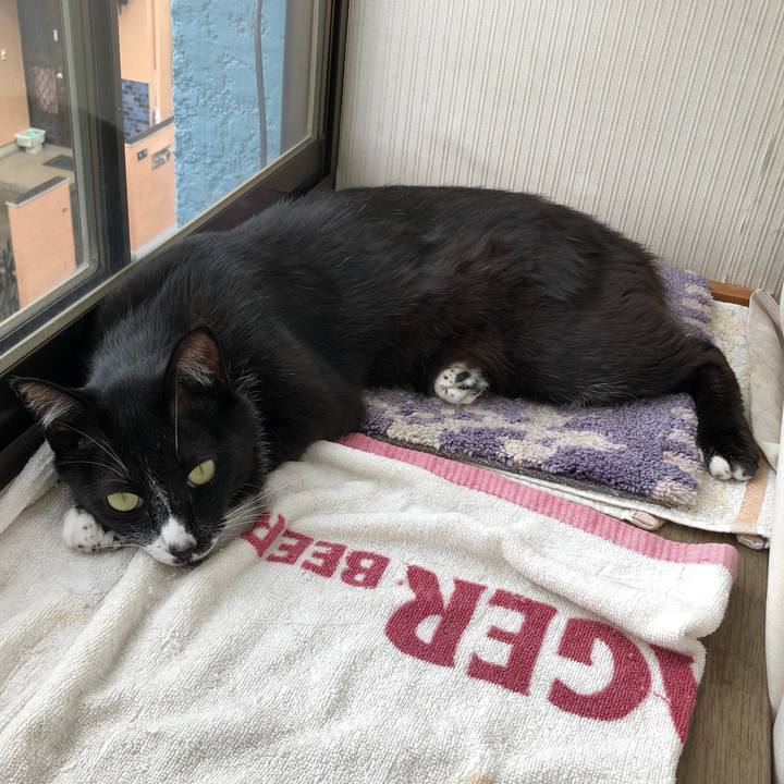 1e57f095 f08d 4e03 a4b8 eacc1aaaffda 1595821508660