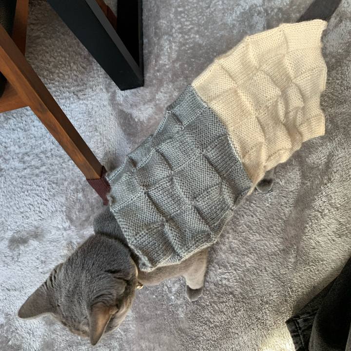 1e58201c 1a23 4365 adaf 37dbf76760a1 1670822206065