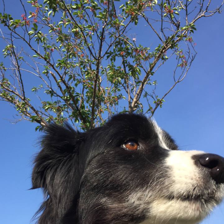 1e58ab21 14d5 4c61 bfa5 25cc1503bb19 1589412869240