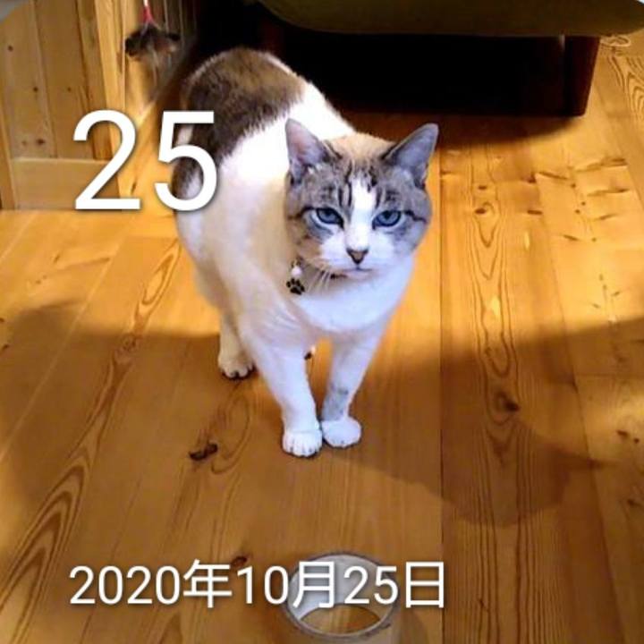 1e58d8e9 1030 4367 b715 008734cbdc7f 1761379162700