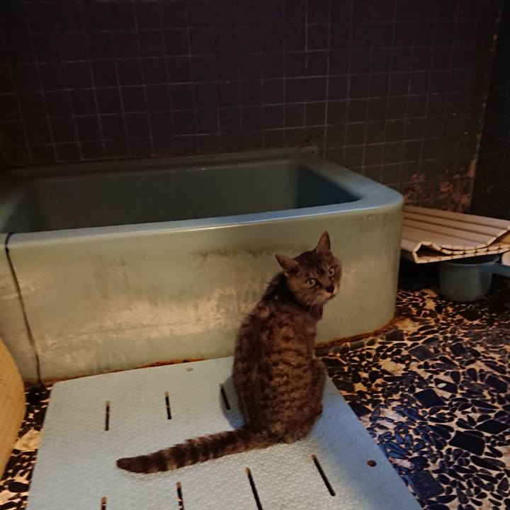 1e58f291 ed86 40d7 b7b3 3658af7ac8f4 1593598302011