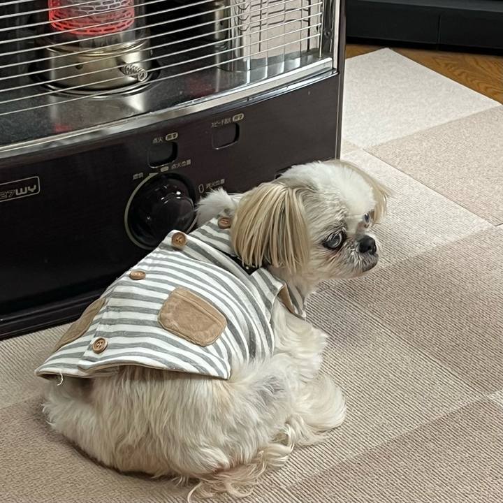 1e591541 fbae 4e28 a296 5aaa638fd6ae 1704248155709