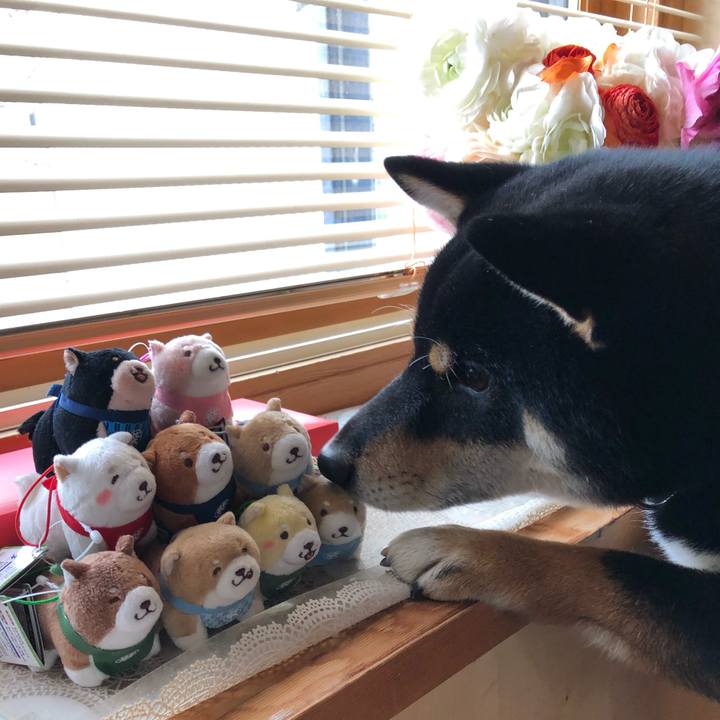 1e596d04 0d49 419c 8b93 569e283acc0e 1551577688100