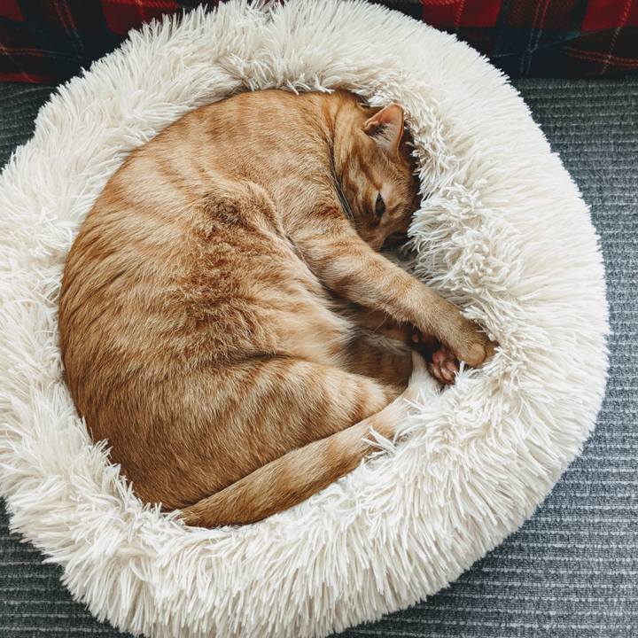 1e598bc1 57ea 4bbe a31f e0b4e4cfd3c2 1622286316791