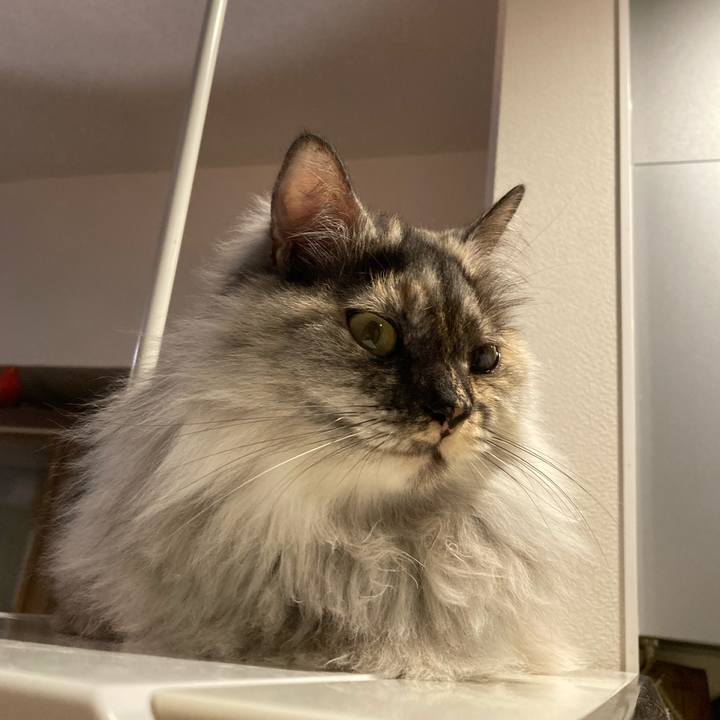 1e5991ad d7aa 4044 b236 d73526964cf4 1737355284694