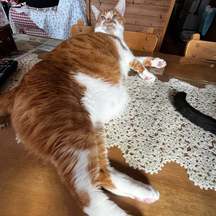 1e5a3745 6803 4347 bee5 2ff614452bbb 1715814228349