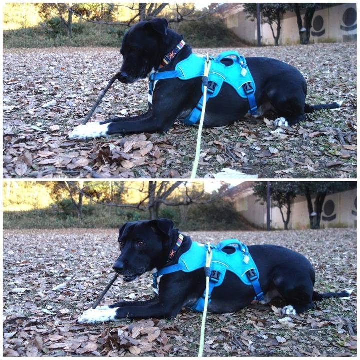 1e5a5061 0560 4306 8c94 e7b6ccfc1454 1609372365986