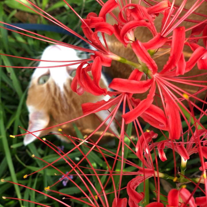 1e5aa135 5b66 43f4 b1dc 7a391e991b54 1569664400178