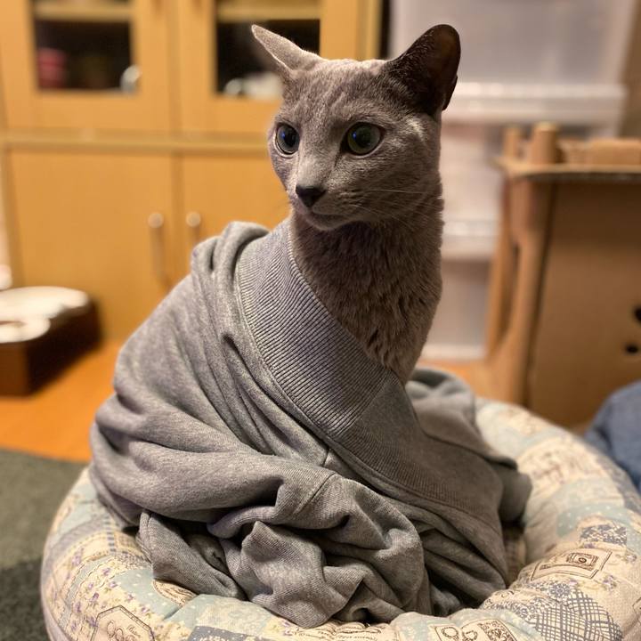 1e5ad6ad 508d 457b a392 1f5f4fb6242d 1680438799195