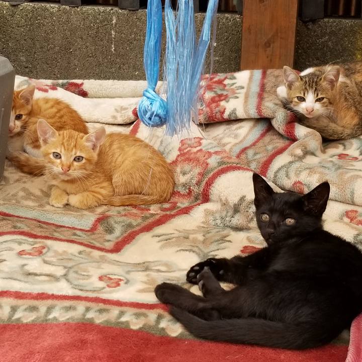 1e5af686 190a 4d69 83f7 4c93b25b47f8 1633765891364