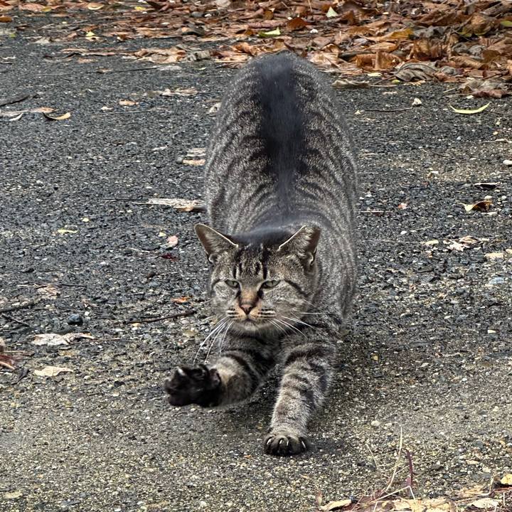 1e5b039e 03cc 466c a155 089a1cdc86f2 1766619911561