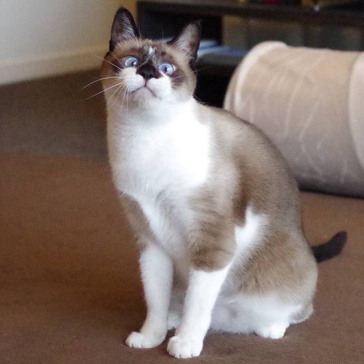 1e5b33a5 a9ae 4c40 852d 7b3023fb4e65 1535600413840