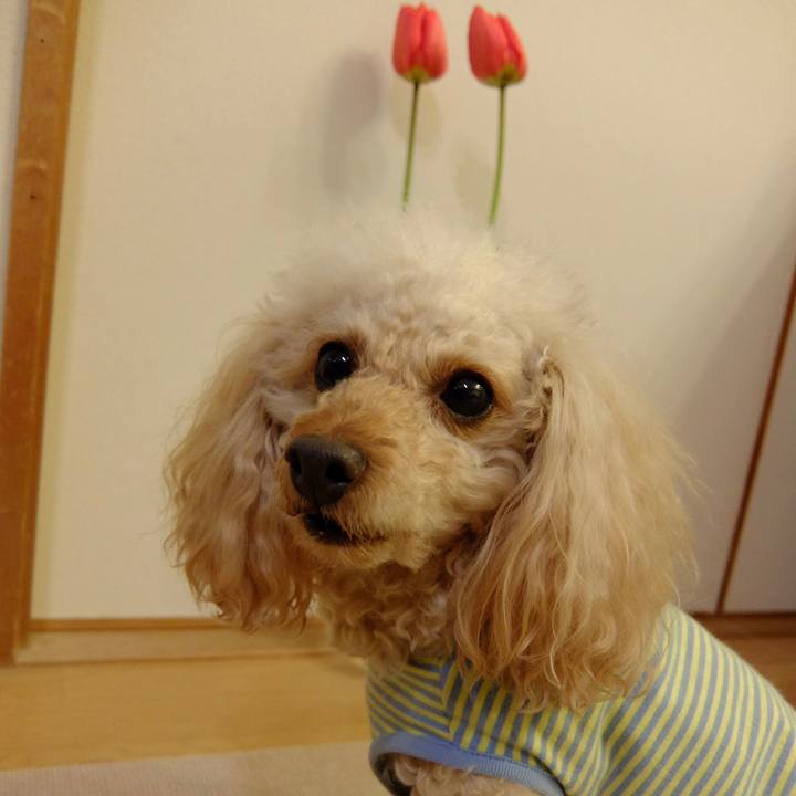 1e5b409c 1d24 4866 8c97 f8e3d9a122ce 1644313896962