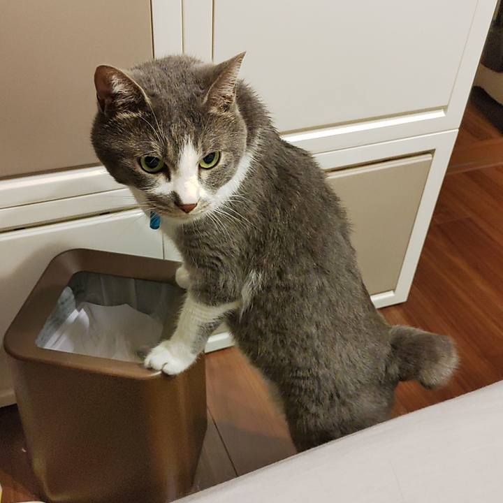 1e5b5571 e861 4fc0 994c 22756673e885 1715779006565