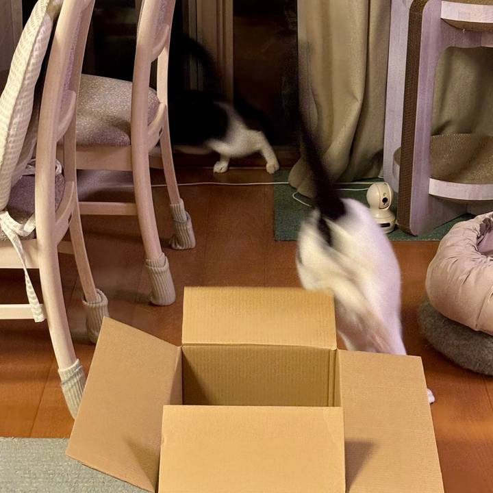 1e5b5646 8b3a 4ddc a4ee 506f082614ab 1757515894566