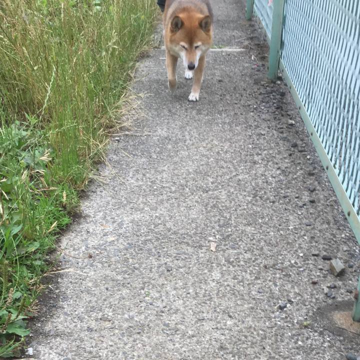 1e5b5e4a 41d2 407b aa69 9a1d05d7e4bf 1561267045909