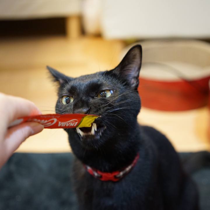 1e5b6a3f 9fca 4a25 adf5 a5634f0c22f9 1512715738774