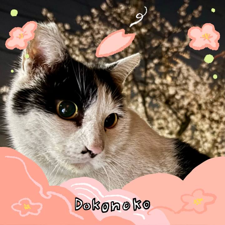 1e5b8dc2 19d6 4adf 9645 bacc3a9c6c7a 1775260943166