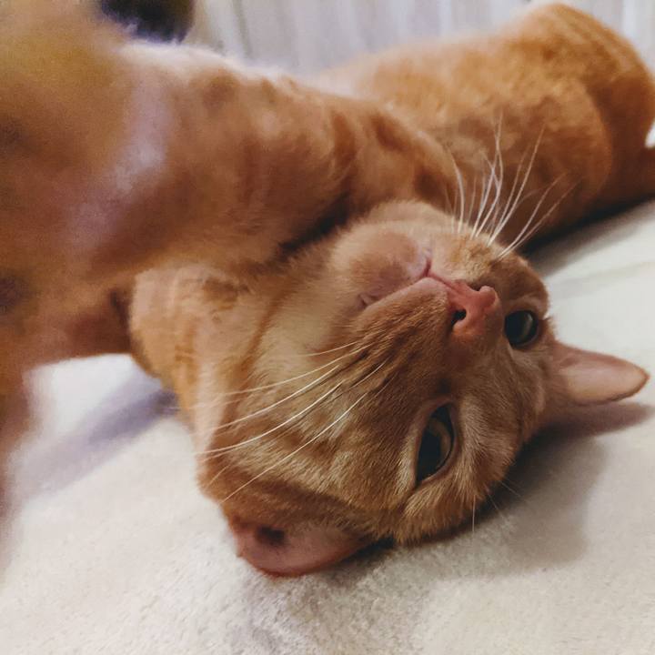 1e5b8e9f 3028 414a 8f25 53ec44792c18 1623243088893