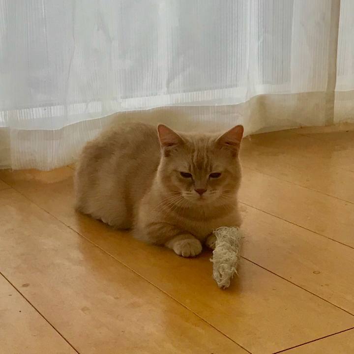 1e5b9df9 5e0f 43ab bfdc f18006a8621f 1522330170614