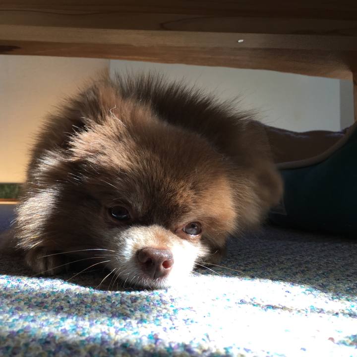 1e5bd7fe 5303 4cc7 813f f9210e80a721 1527317265047