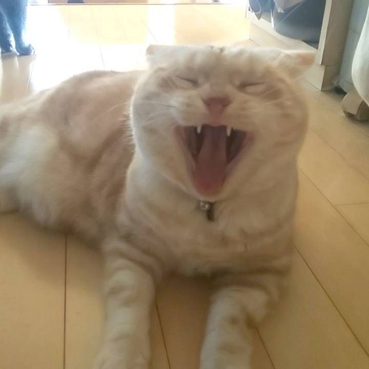 1e5c2f34 1c83 4cb0 9e72 df5eada5a173 1580687185243