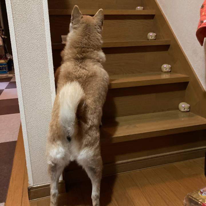 1e5c45eb 9e5a 4418 80a9 1abd15905a21 1612615856037