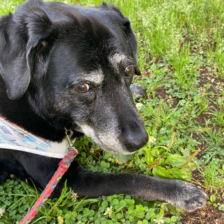 1e5c7bd1 388d 4292 b0be b42f8d79300a 1684361879008