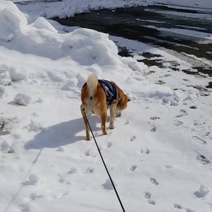 1e5cddf6 de63 4bcb 89bc 6360a3f85cec 1549858830934