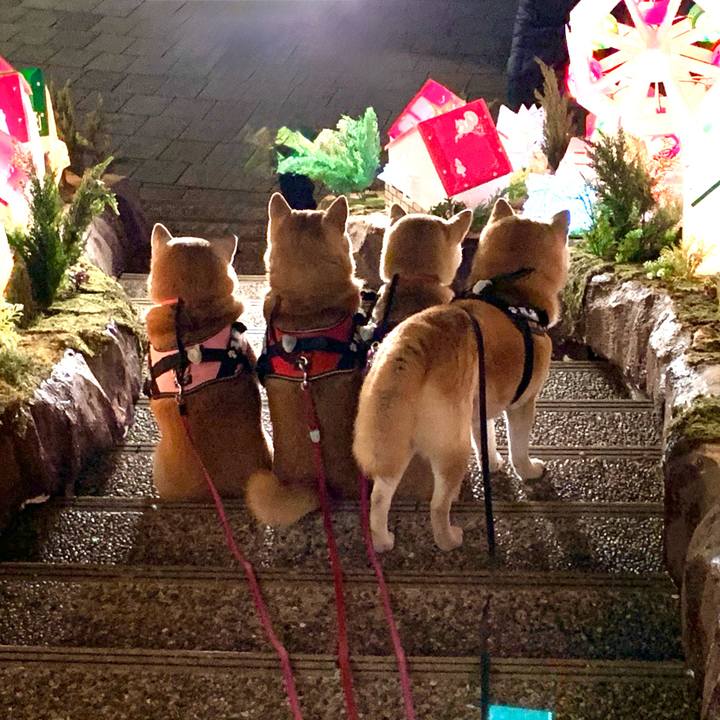 1e5ce646 a50a 4d72 8c31 bc05d2266d44 1765987399586