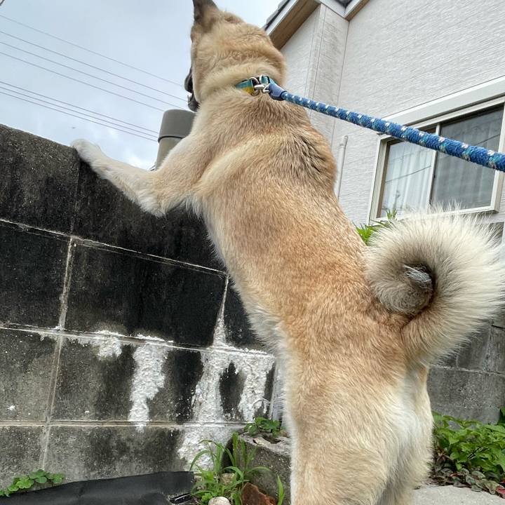 1e5cec5f 8c4b 4b5b b836 6546e7449692 1655728942944