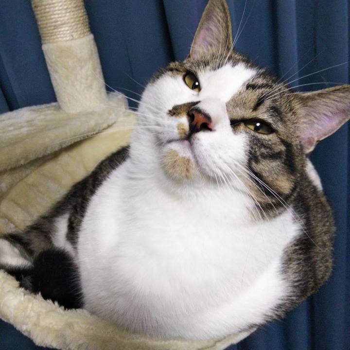 1e5d93db 6172 4ca3 9542 718b9b30ea61 1631272673359