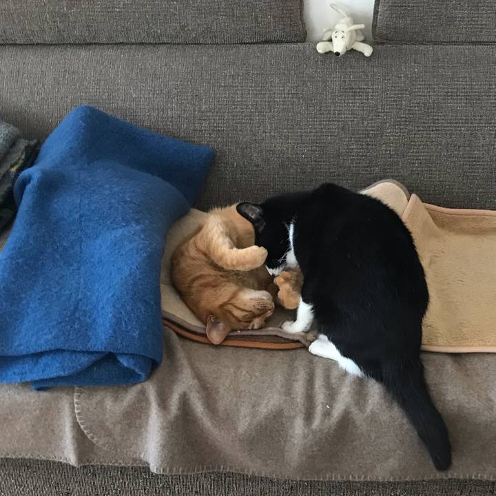 1e5d9891 b98d 4b3a 91cc a93ad1f484a3 1575807101861