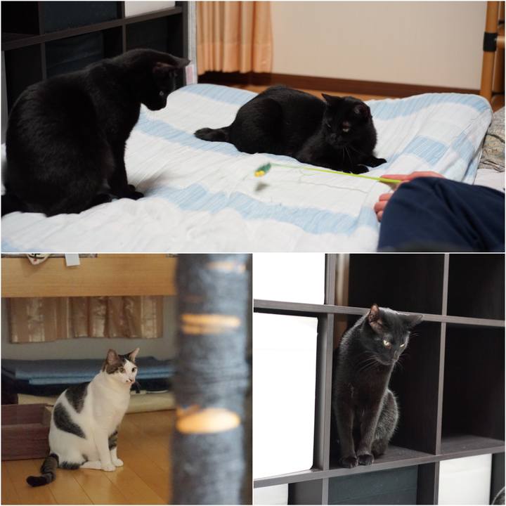 1e5db238 01ad 48c9 8d28 f35f8bb4ec5b 1557219203111